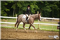 4H-3rd-072812-2097.jpg
