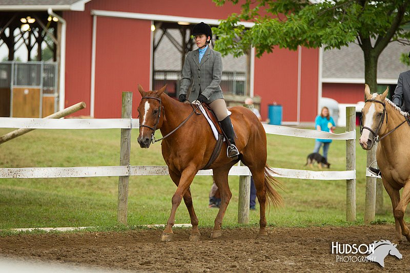 4H-3rd-072812-2010.jpg