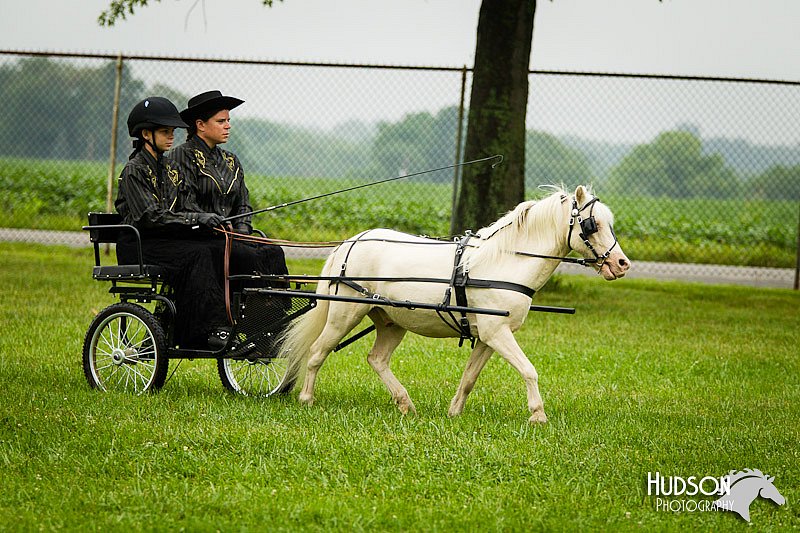 4H-3rd-072812-1166.jpg
