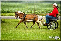 4H-3rd-072812-1156.jpg