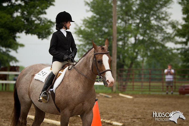 4H-3rd-072812-1501.jpg