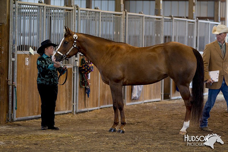 4H-3rd-072812-0967.jpg