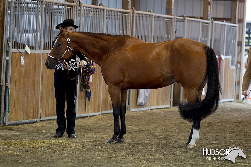 4H-3rd-072812-0975.jpg