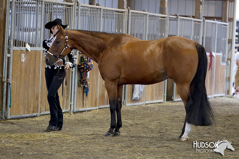 4H-3rd-072812-0976.jpg