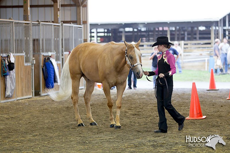 4H-3rd-072812-0990.jpg