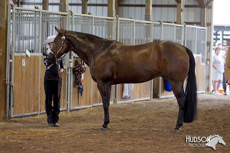 4H-3rd-072812-1007.jpg