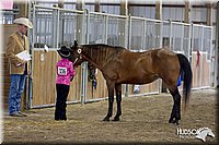 4H-3rd-072812-0981.jpg