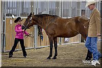 4H-3rd-072812-0982.jpg