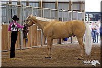 4H-3rd-072812-0988.jpg