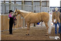 4H-3rd-072812-0989.jpg