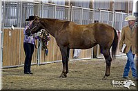 4H-3rd-072812-0996.jpg