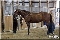 4H-3rd-072812-1006.jpg