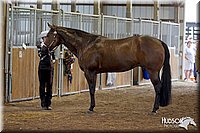 4H-3rd-072812-1007.jpg