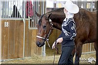 4H-3rd-072812-1009.jpg
