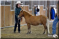 4H-3rd-072812-1014.jpg