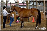 4H-3rd-072812-0945.jpg
