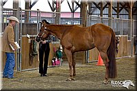 4H-3rd-072812-0962.jpg