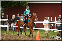 Open-Trail-Pony