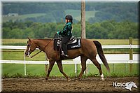 WT-Western-Equitation-Pony