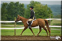 WT-English-Equitation-Pony