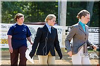 4H-Distr-090713-0731.jpg