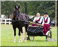 4H-Distr-090813-1482.jpg