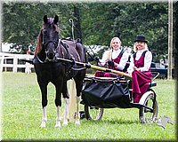 4H-Distr-090813-1485.jpg