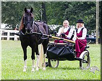 4H-Distr-090813-1487.jpg