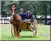 4H-Distr-090813-1490.jpg