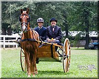 4H-Distr-090813-1491.jpg
