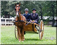 4H-Distr-090813-1494.jpg