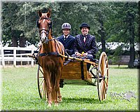 4H-Distr-090813-1495.jpg