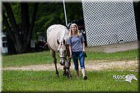 4H-Distr-090813-1506.jpg