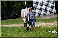 4H-Distr-090813-1507.jpg