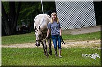 4H-Distr-090813-1508.jpg