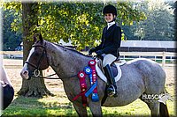 4H-Distr-090813-1830.jpg
