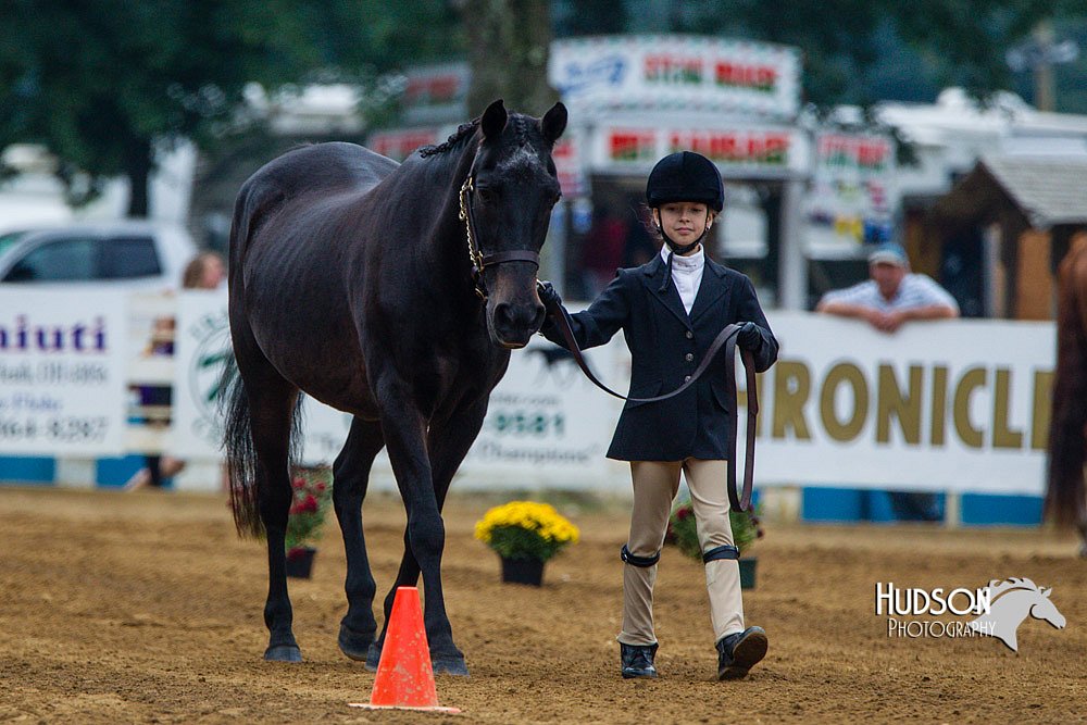 4H-Distr-090813-1288.jpg