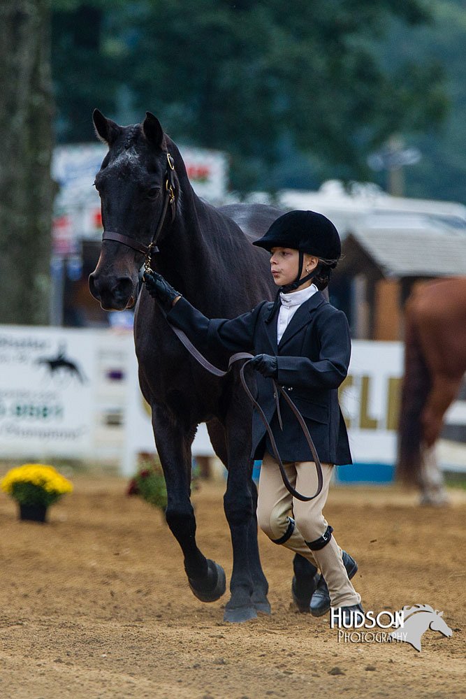 4H-Distr-090813-1290.jpg