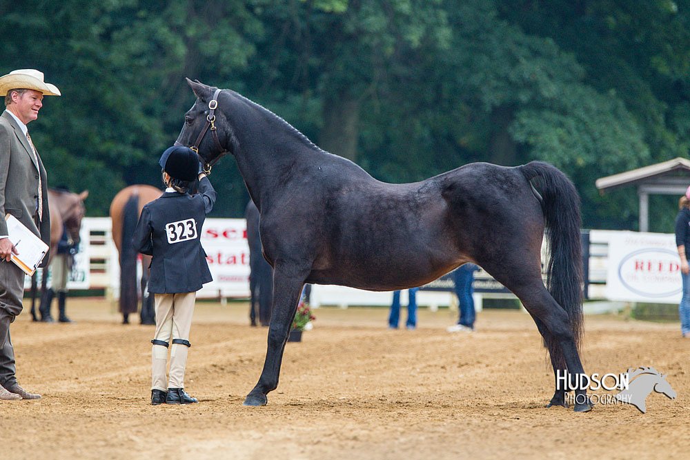 4H-Distr-090813-1294.jpg