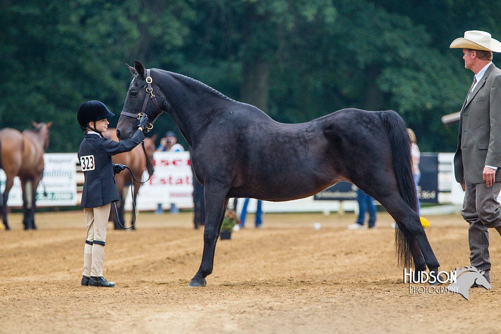 4H-Distr-090813-1297.jpg