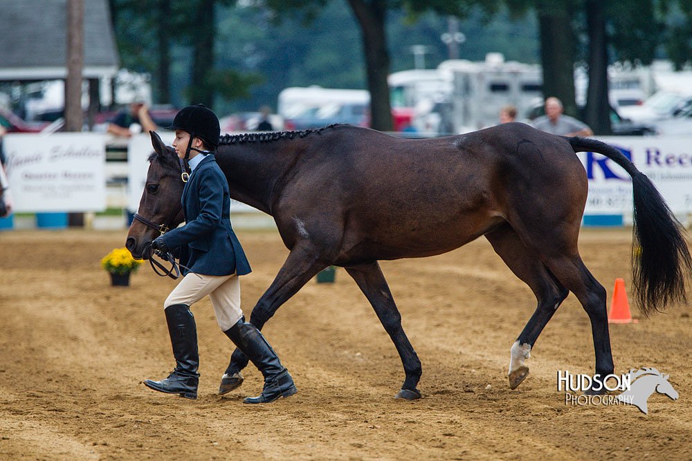 4H-Distr-090813-1303.jpg