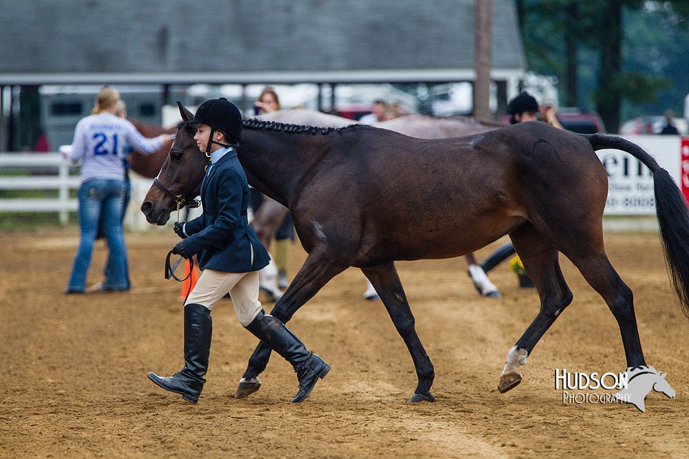 4H-Distr-090813-1304.jpg