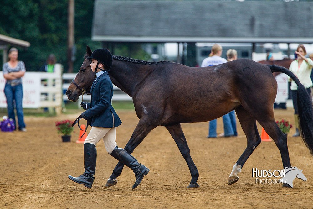 4H-Distr-090813-1305.jpg
