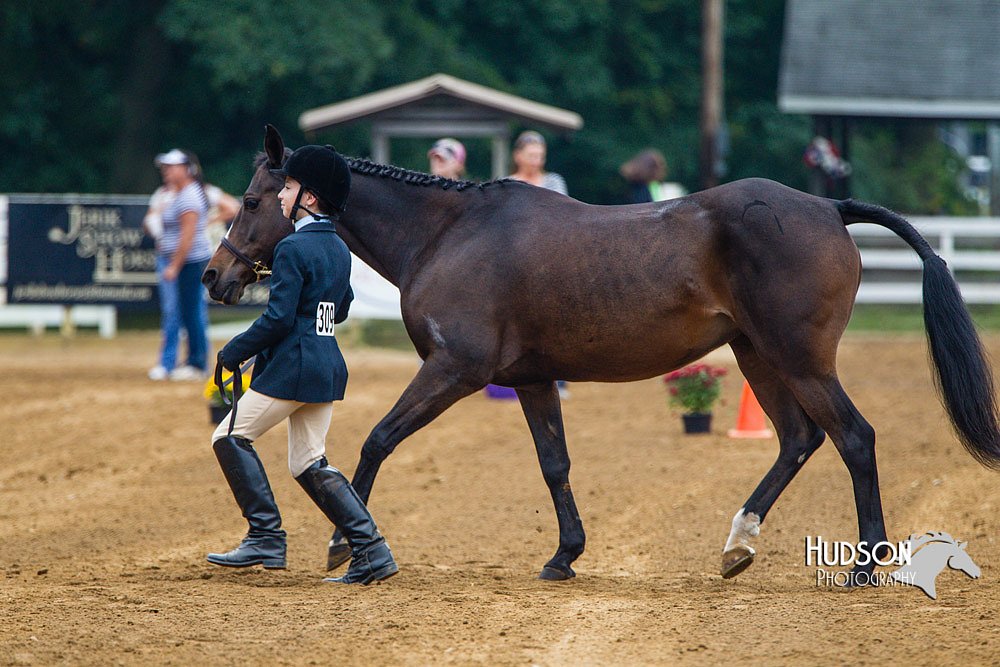 4H-Distr-090813-1306.jpg