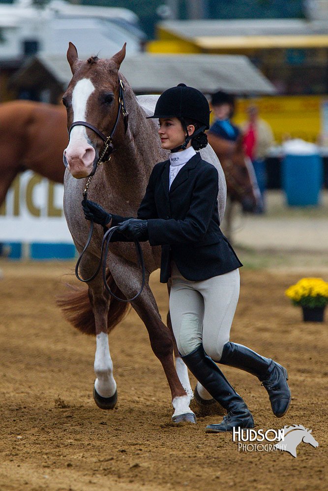 4H-Distr-090813-1313.jpg