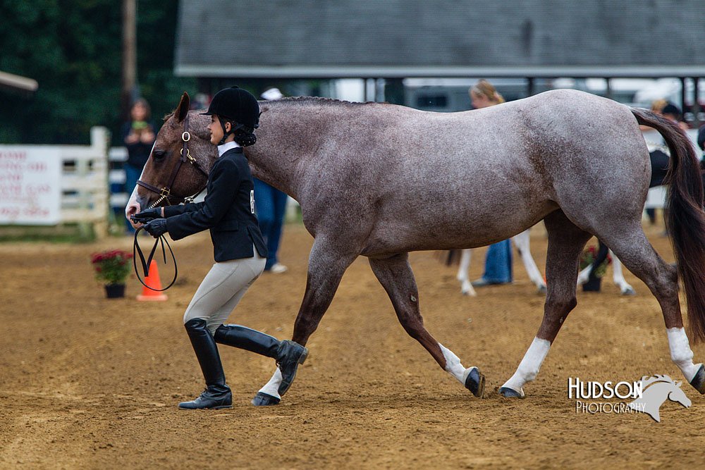 4H-Distr-090813-1316.jpg