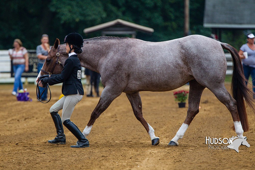 4H-Distr-090813-1317.jpg
