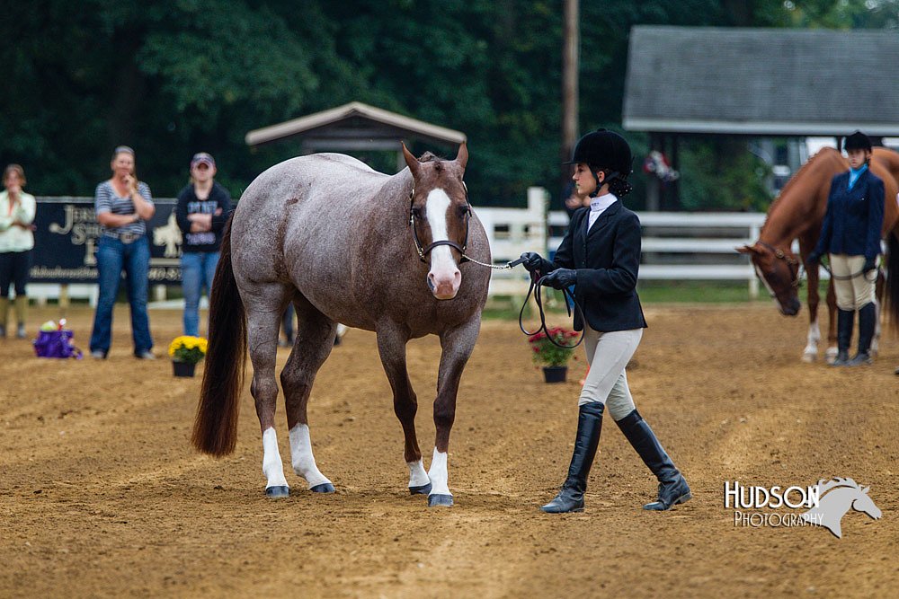 4H-Distr-090813-1320.jpg