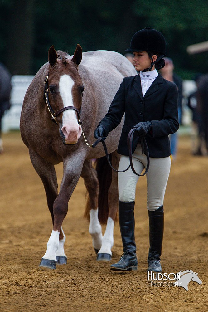 4H-Distr-090813-1321.jpg