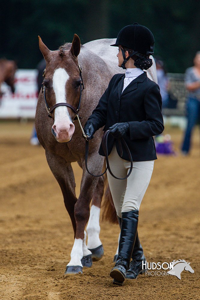 4H-Distr-090813-1322.jpg
